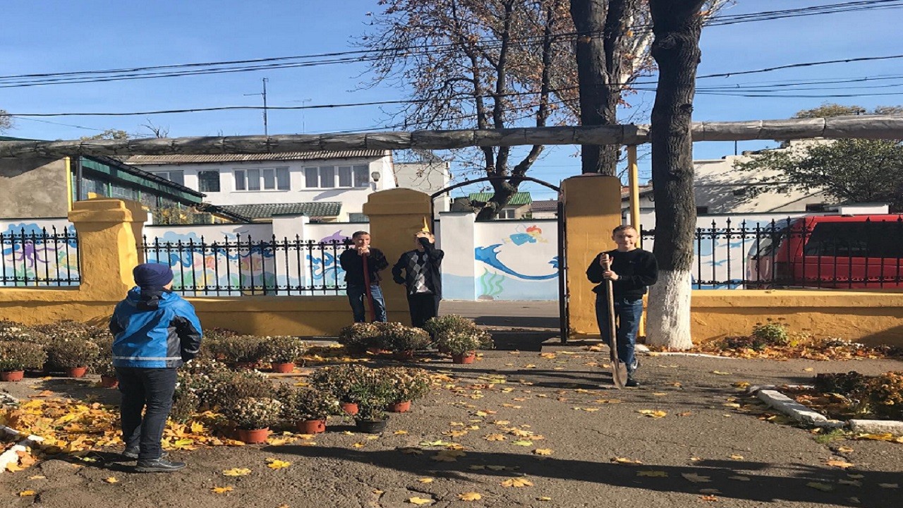 200 кущів хризантем висадили учні Одеської школи-інтернату для дітей із вадами слуху 